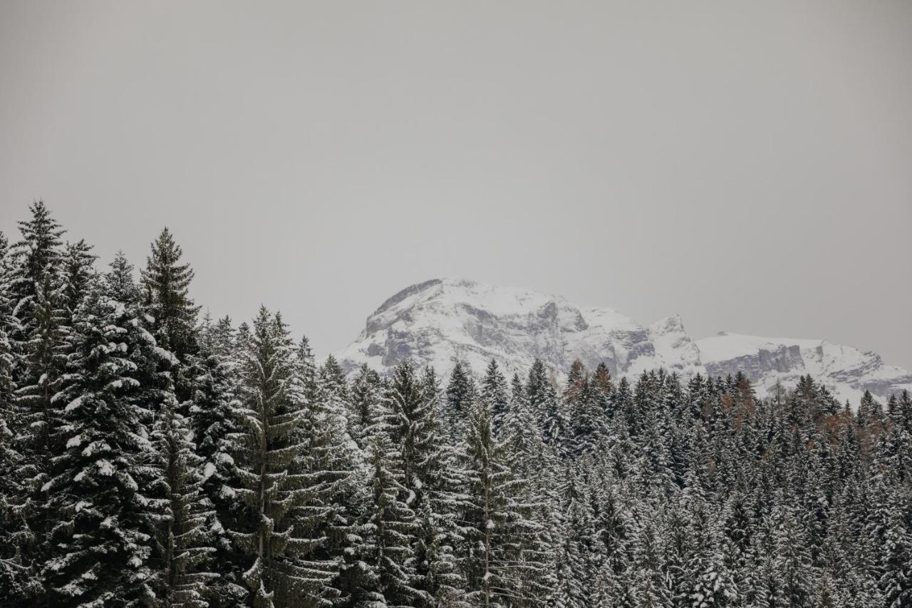 Hygna Chalets Reith im Alpbachtal Eksteriør billede