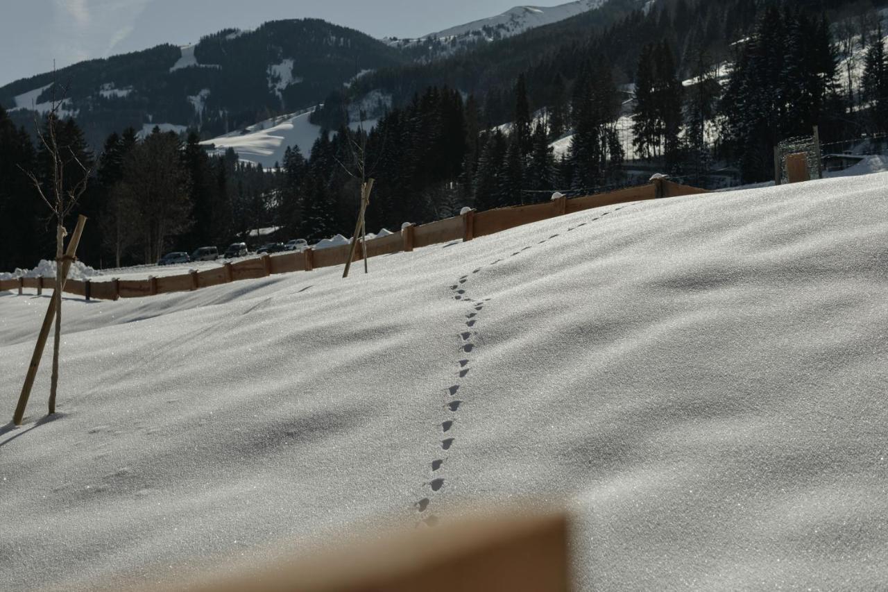 Hygna Chalets Reith im Alpbachtal Eksteriør billede
